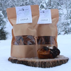 Nordisk Chaga