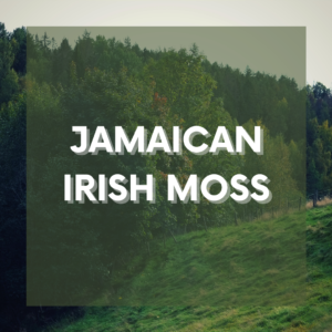 Irish Moss / Sea Moss