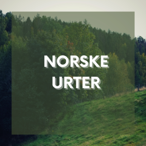 Norske urter